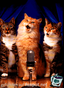 gif lustiges foto 86 gif lustiges foto 86
