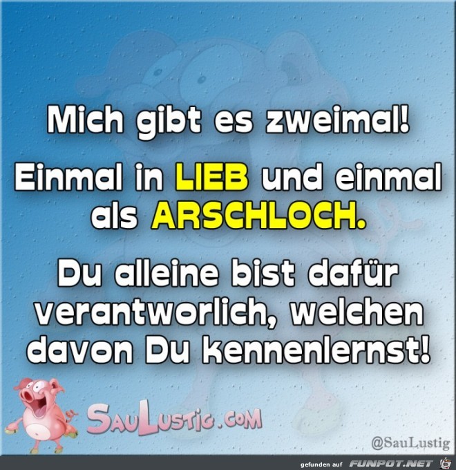 Mich-gibt-es-zweimal Mich-gibt-es-zweimal