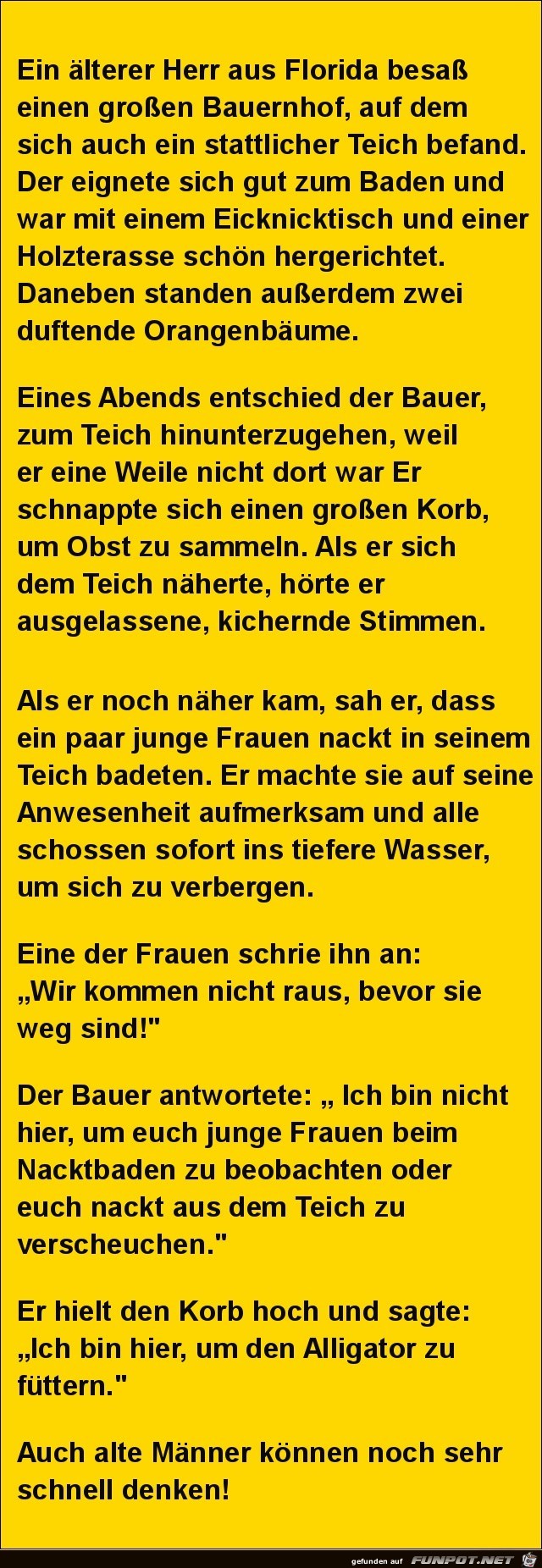 der alte Herr aus Florida der alte Herr aus Florida