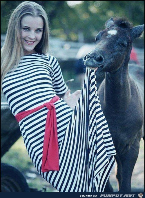 Zebra+ Zebra+