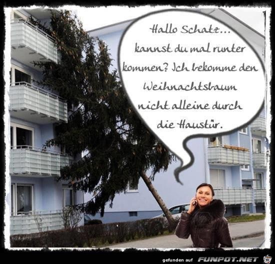 hallo Schatz hallo Schatz