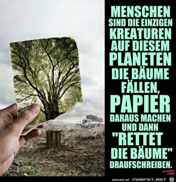 Kreaturen Kreaturen