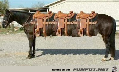 Taxi Unternehmen Taxi Unternehmen