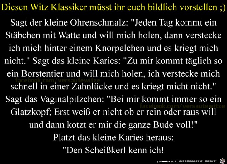 Ohrenschmalz Ohrenschmalz