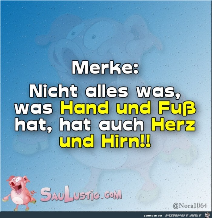 Nicht-alles-was-Hand-und-Fuß-hat Nicht-alles-was-Hand-und-Fuß-hat