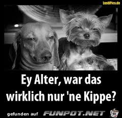 imagesTW3TGAJD imagesTW3TGAJD