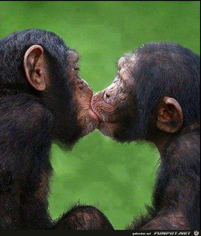 FrenchKissing + FrenchKissing +