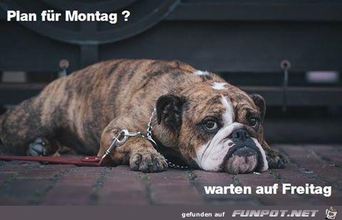 Plan fuer Montag Plan fuer Montag