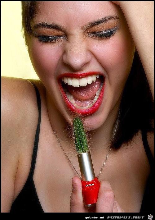Lippenstift Lippenstift