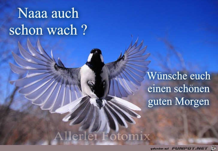 Naaa auch schon wach Naaa auch schon wach