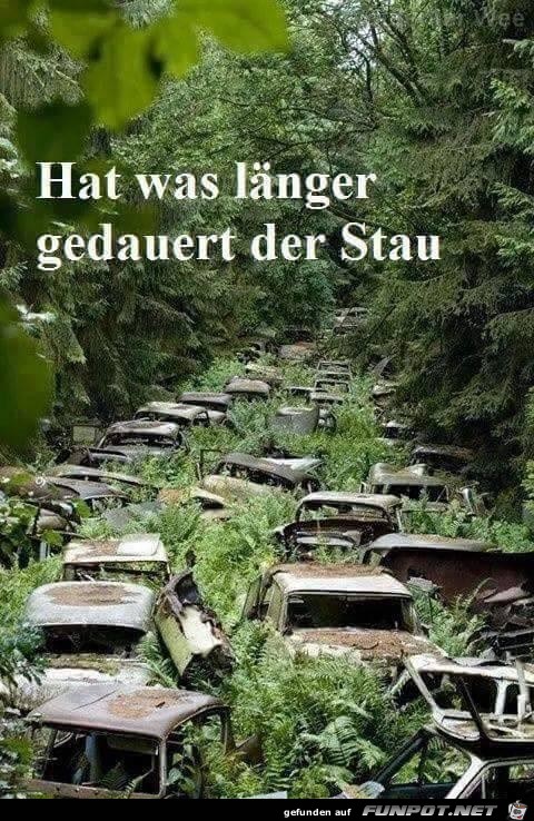 der Stau der Stau