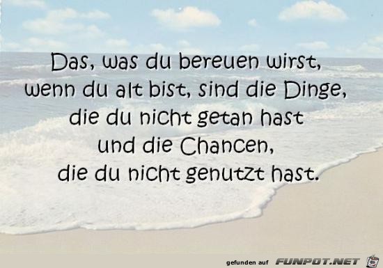 was du bereuen wirst was du bereuen wirst