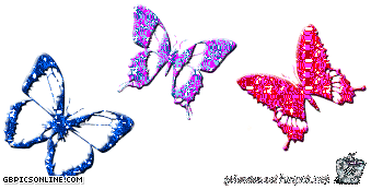 005 005