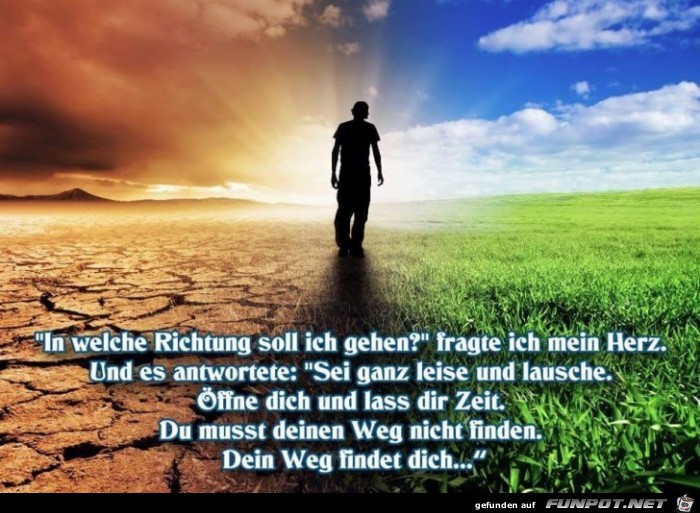 In welche Richtung