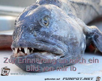 Zur Erinnerung an mich ein Bild von mir Ib Zur Erinnerung an mich ein Bild von mir Ib