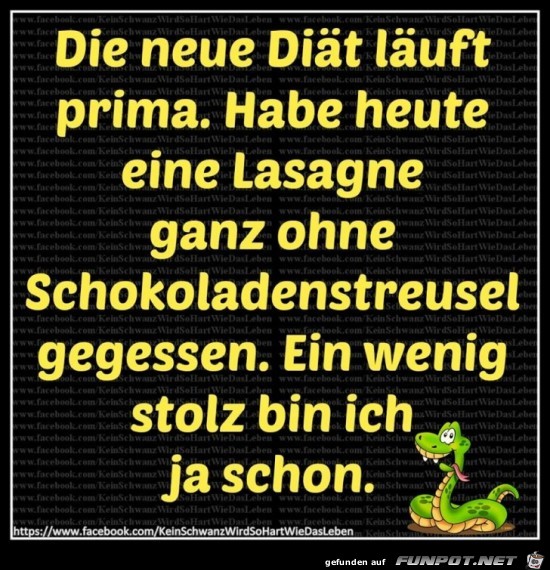Neue Diaet Neue Diaet