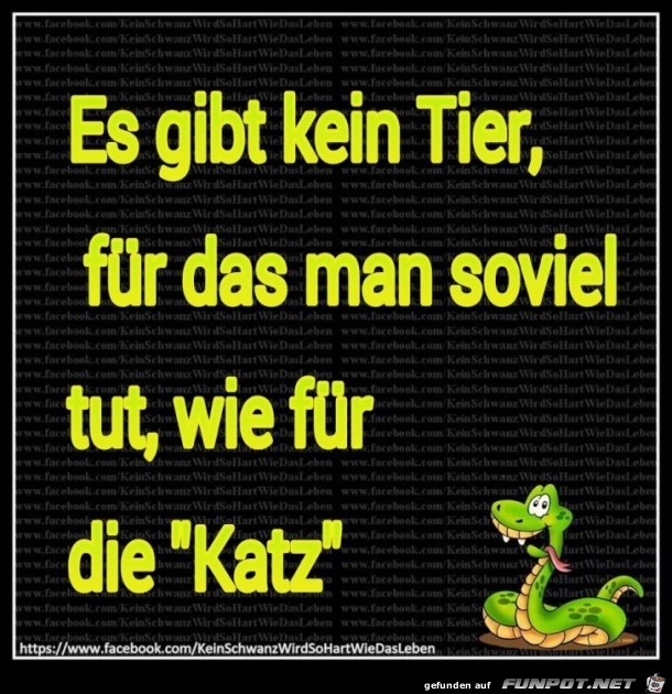 Es gibt kein Tier Es gibt kein Tier