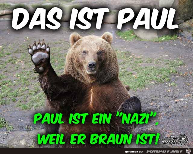 Paul ist Braun