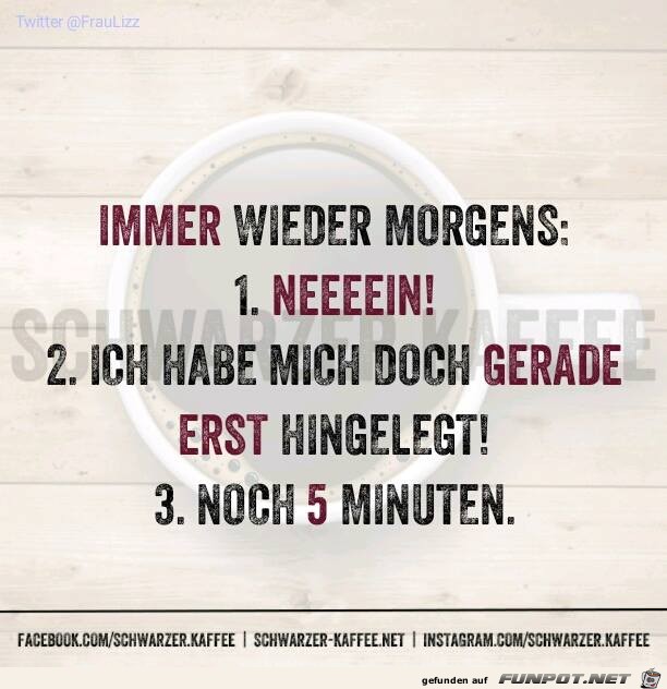 Immer wieder morgens Immer wieder morgens