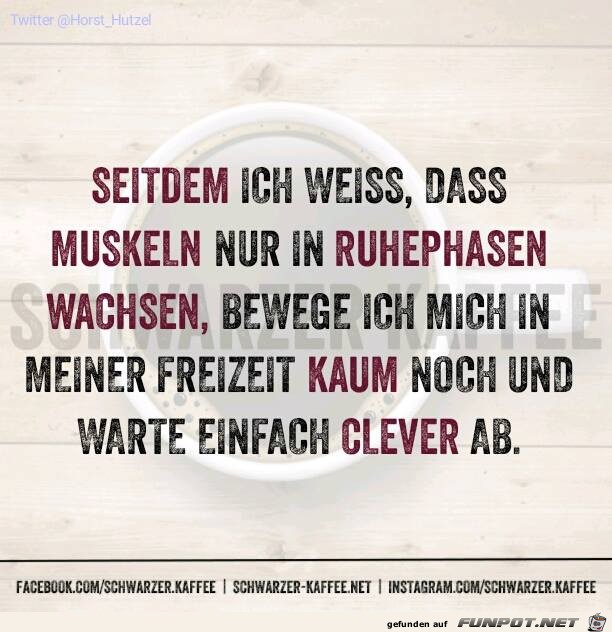 Muskeln Muskeln