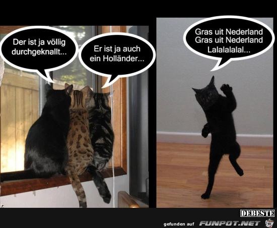 durchgeknallt durchgeknallt