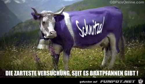 zarteste Versuchung zarteste Versuchung