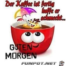 00fg 00fg