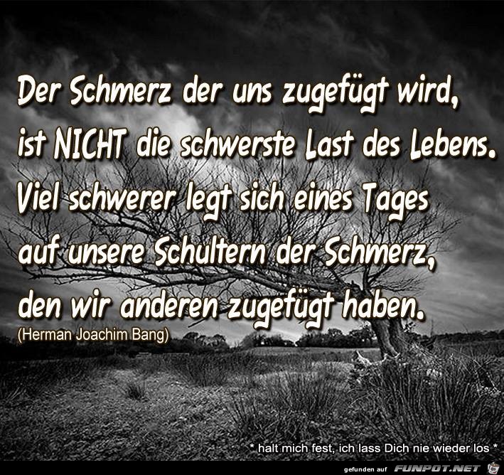 Schmerz Schmerz