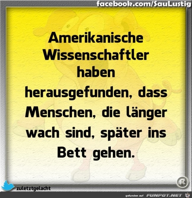 Amerikanische Wissenschaftler