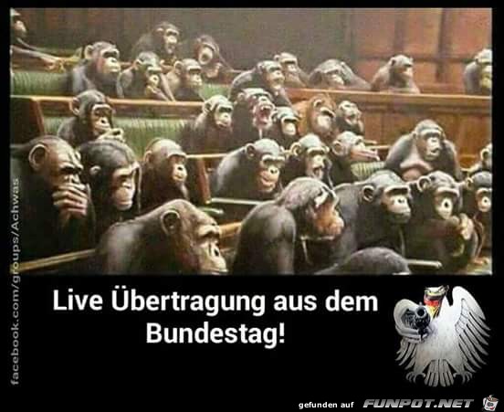 Live aus dem Bundestag