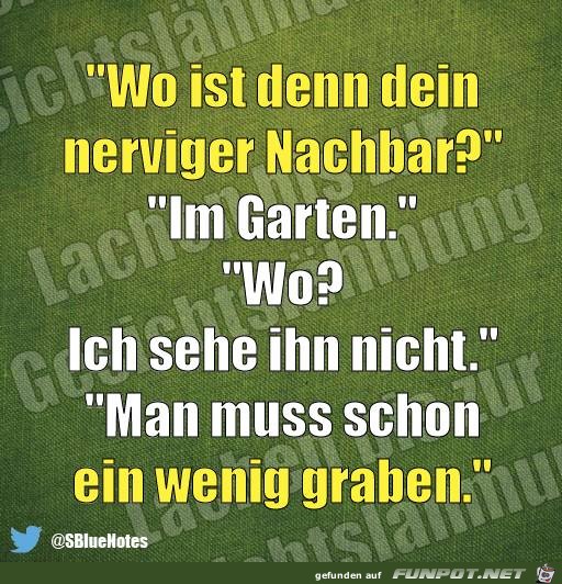 Nerviger Nachbar Nerviger Nachbar