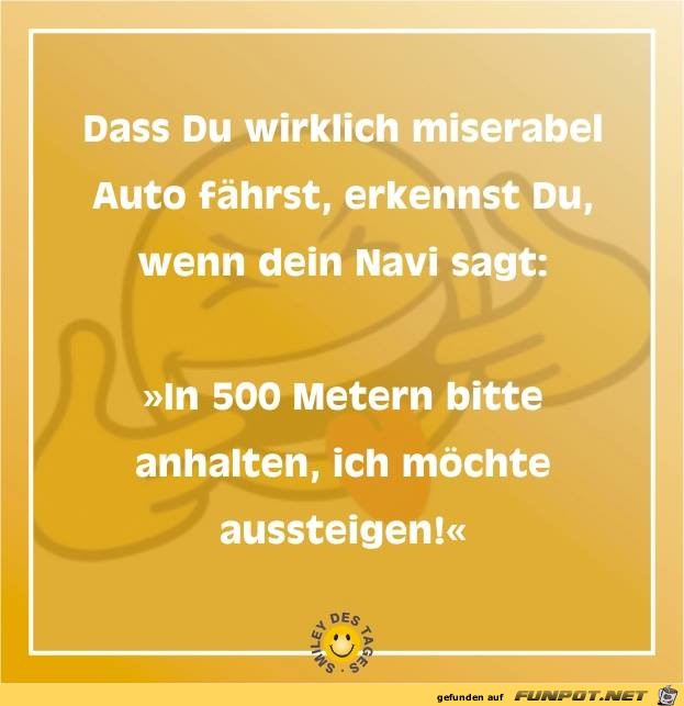 Navi sagt Navi sagt