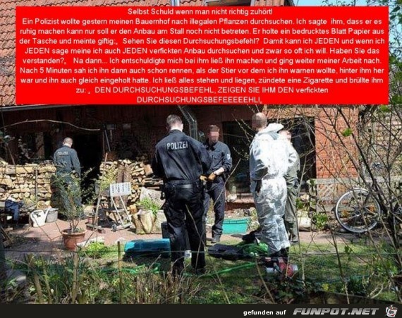 Selbst Schuld! Selbst Schuld!