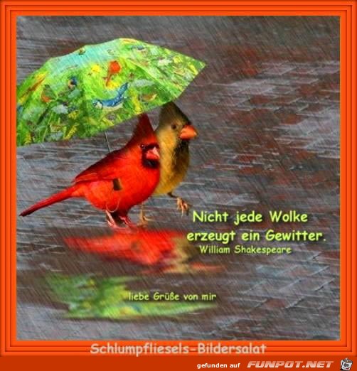 wetter 006 wetter 006