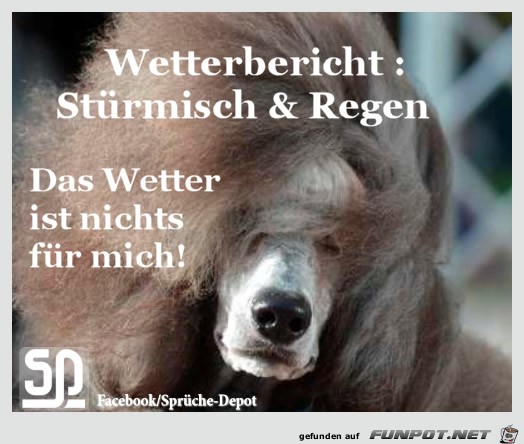 wetter 008 wetter 008