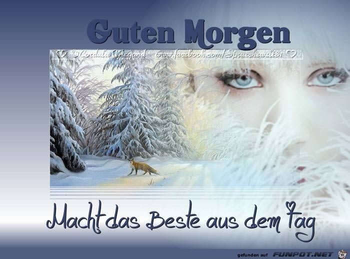 mach das Beste aus dem Tag mach das Beste aus dem Tag