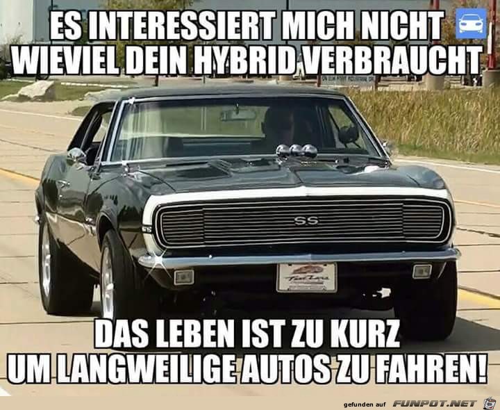 Es inresiert mich nicht Es inresiert mich nicht