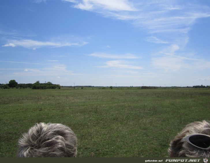 25-24 Puszta 25-24 Puszta