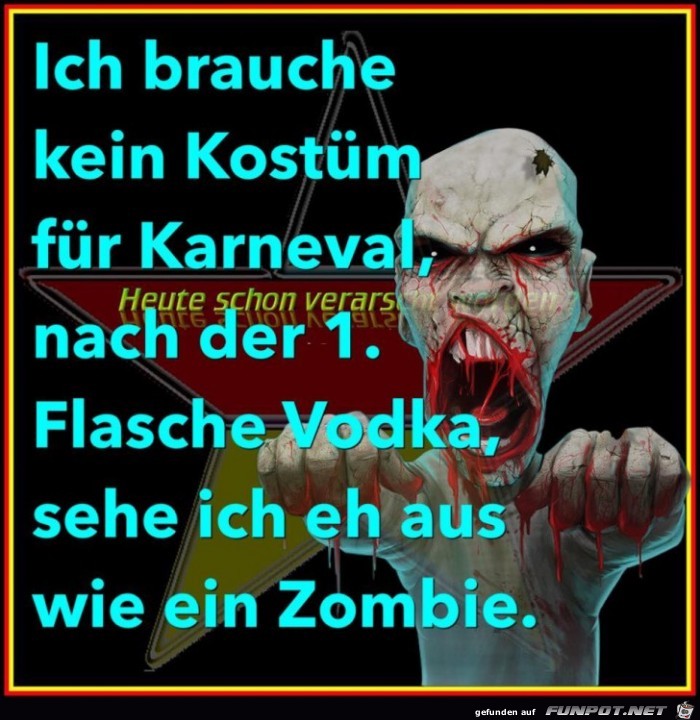 Karnevalkostüm 1 Karnevalkostüm 1