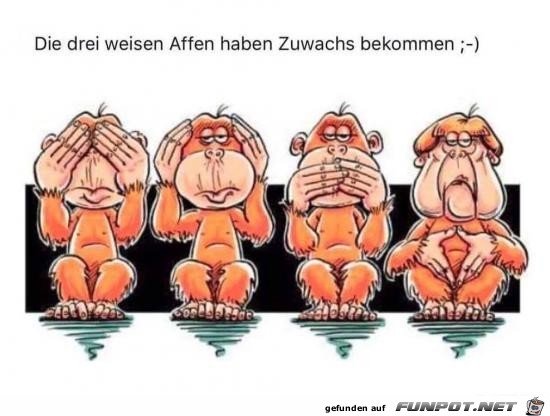Zuwachs bekommen Zuwachs bekommen