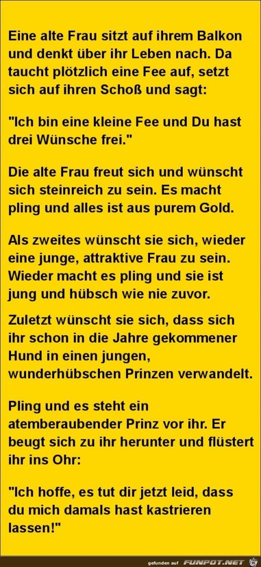 eine alte Frau und die Fee eine alte Frau und die Fee