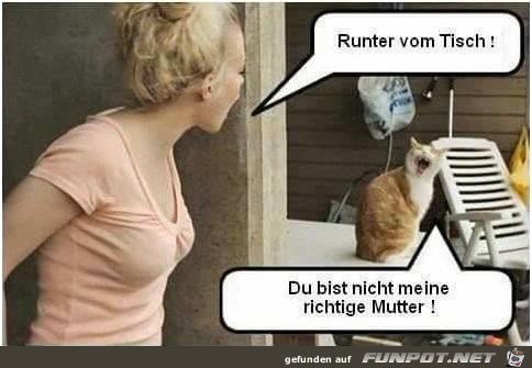 weg vom Tisch weg vom Tisch