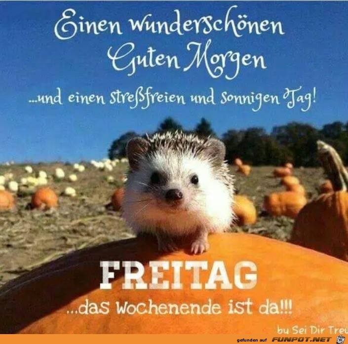 Das Wochenende ist da