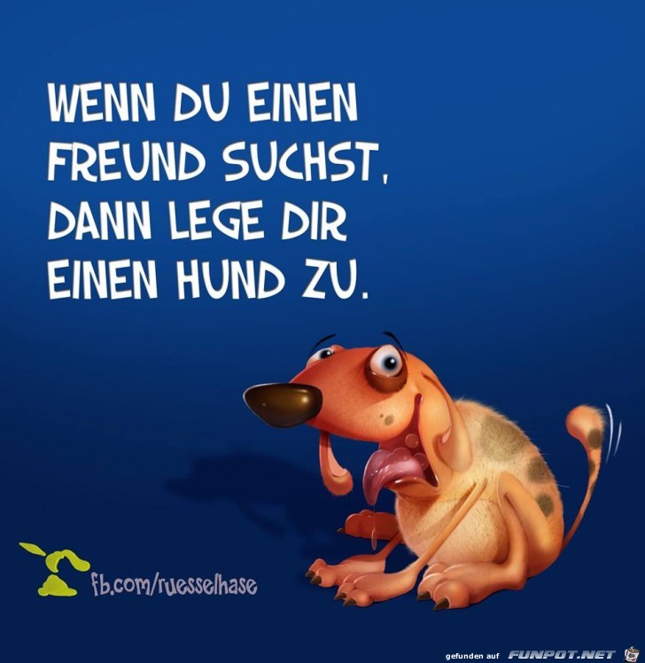 Freund - 00ü Freund - 00ü