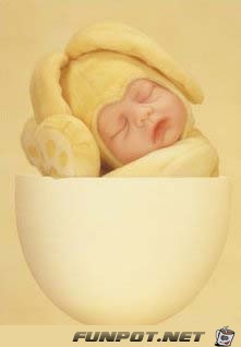 Anne Geddes Baby -027