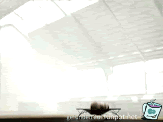 064 064