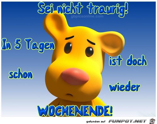 schoene-woche41 schoene-woche41
