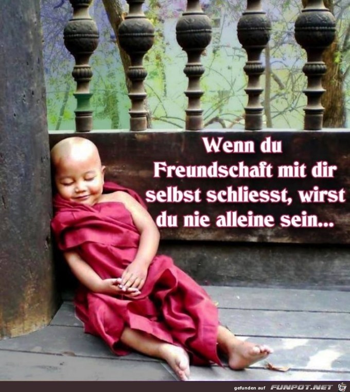 Freundschaft Freundschaft