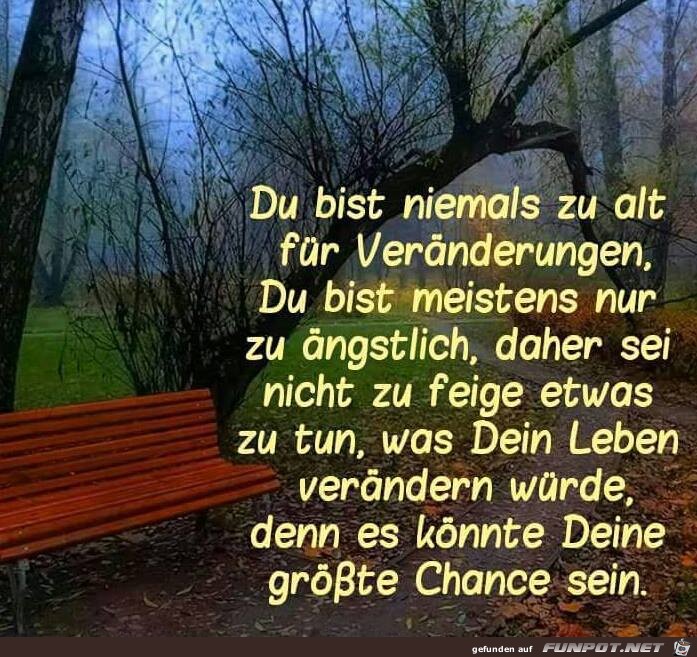 Niemals zu alt Niemals zu alt
