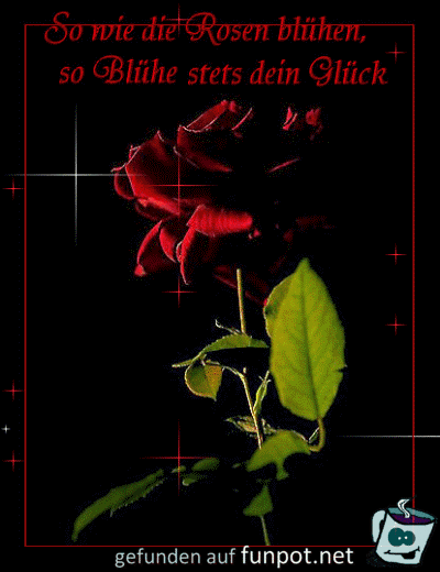 fuer dich fuer dich